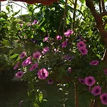 מלון Villa Konak Hotel 3*